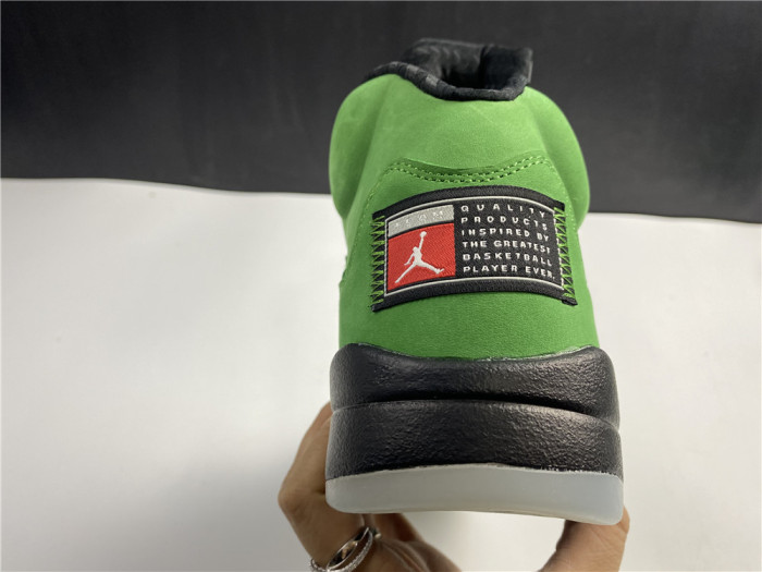 Air Jordan 5 SE “Oregon Ducks” CK6631-307