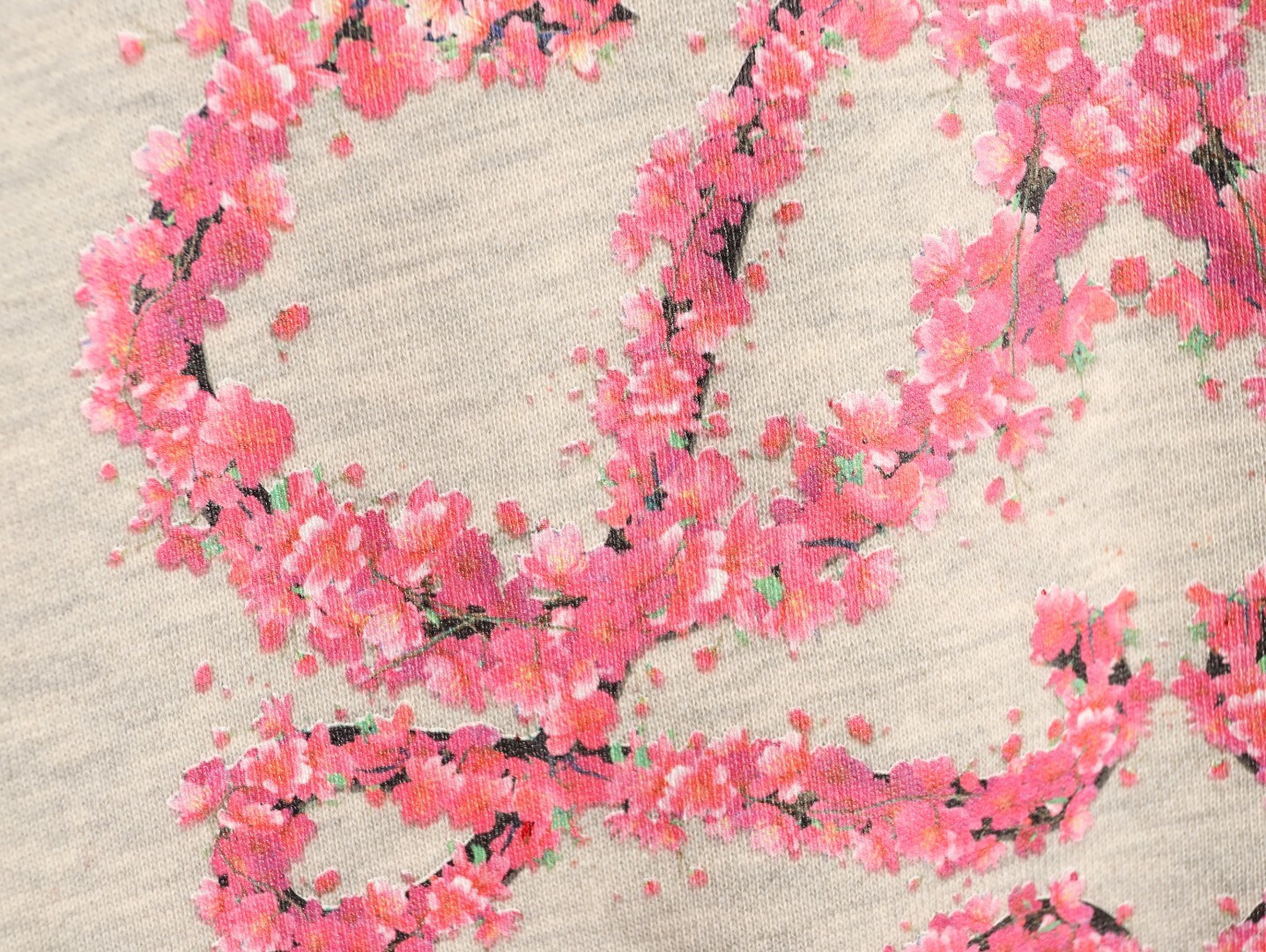 L0ew* 25FW Plush Hoodies