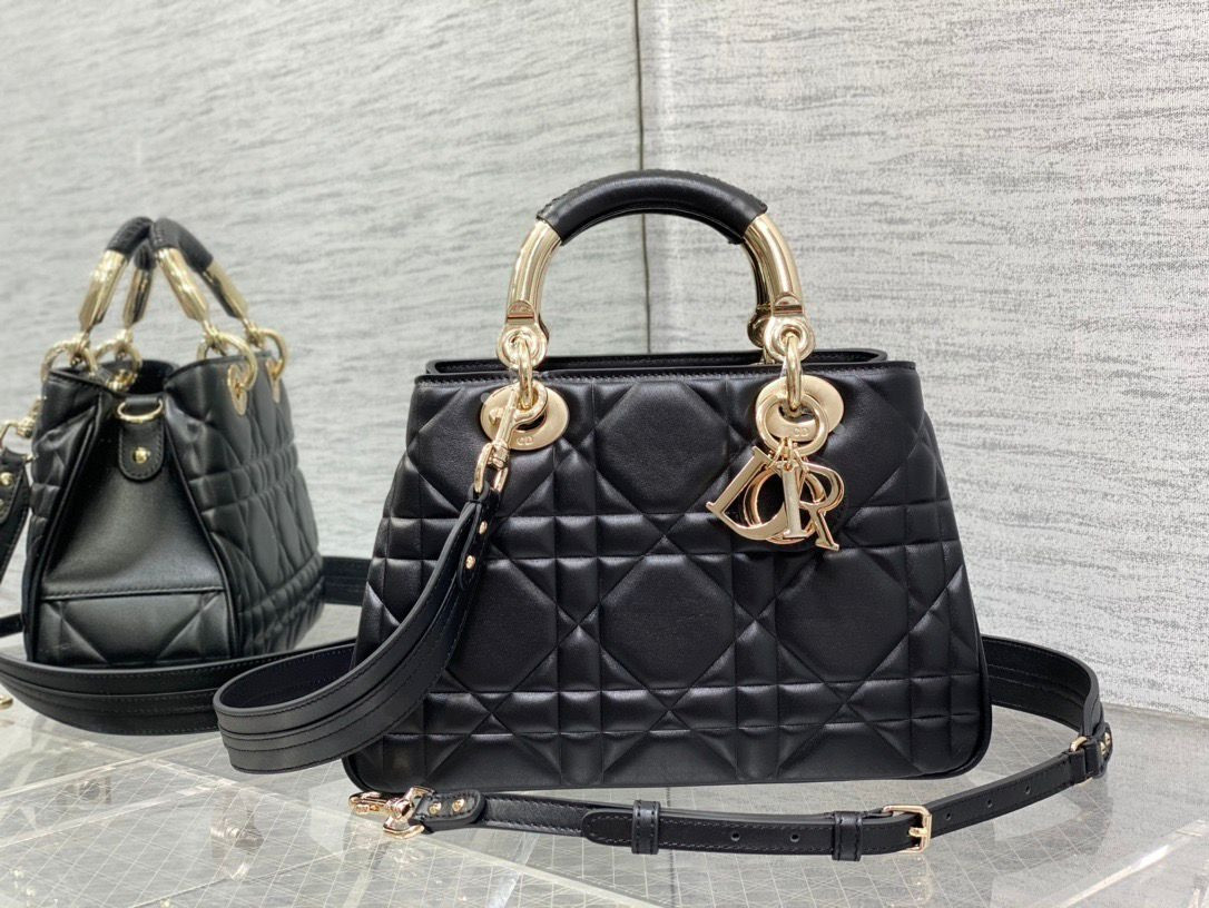 D10r Lady Handbag 24x18x10cm