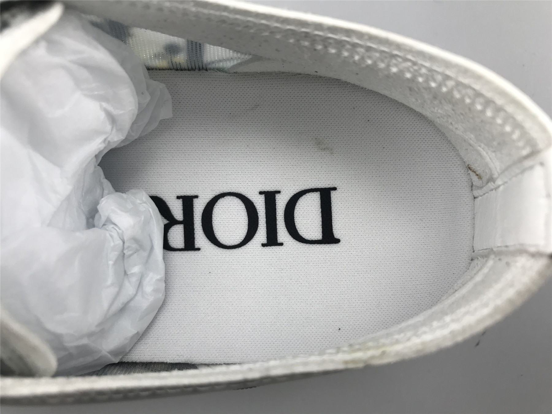 UA Dior B23 LOW TOP ALEX FOXTON OBLIQUE