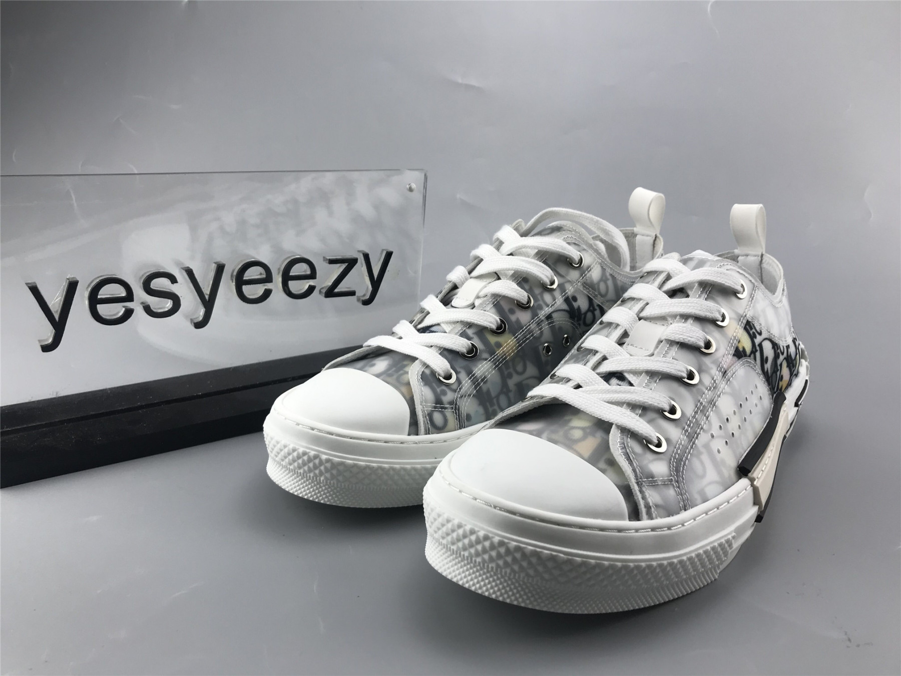 UA Dior B23 LOW TOP ALEX FOXTON OBLIQUE