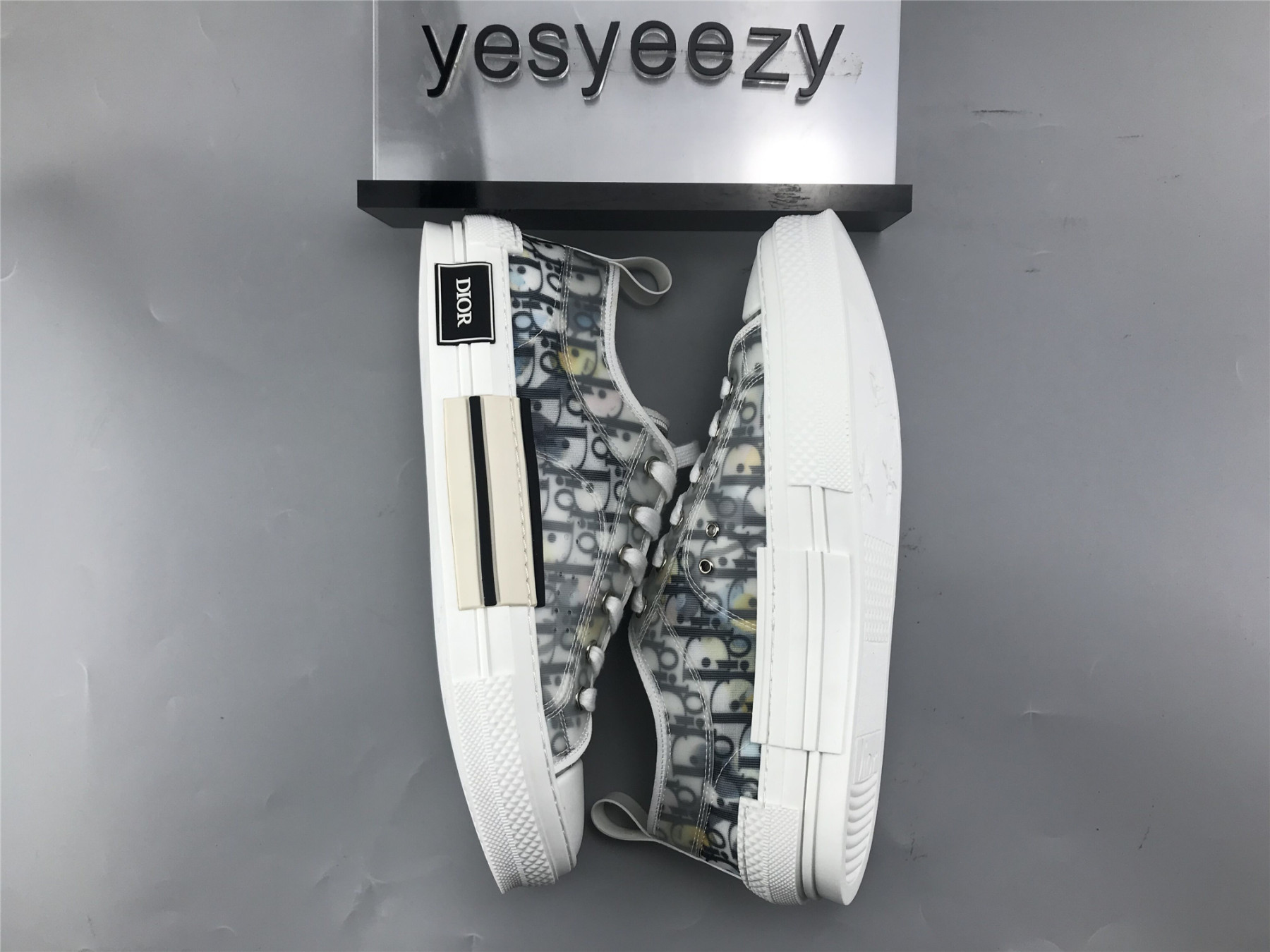 UA Dior B23 LOW TOP ALEX FOXTON OBLIQUE