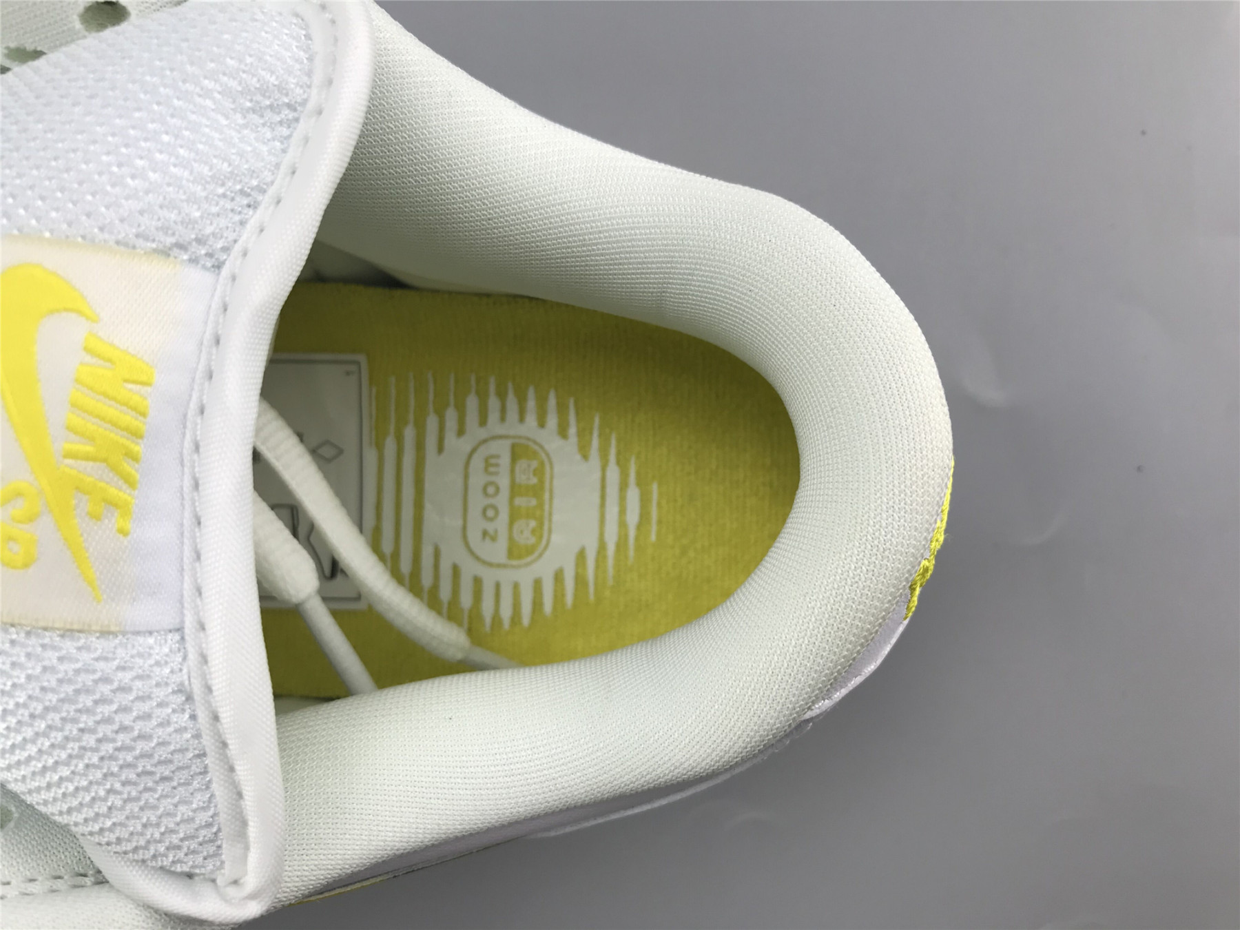 UA NIKE DUNK LOW PRO SB 