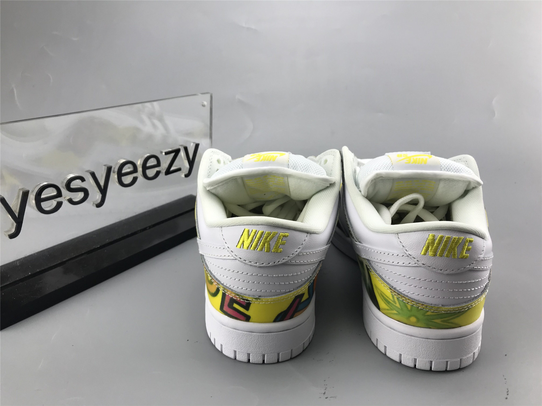 UA NIKE DUNK LOW PRO SB 