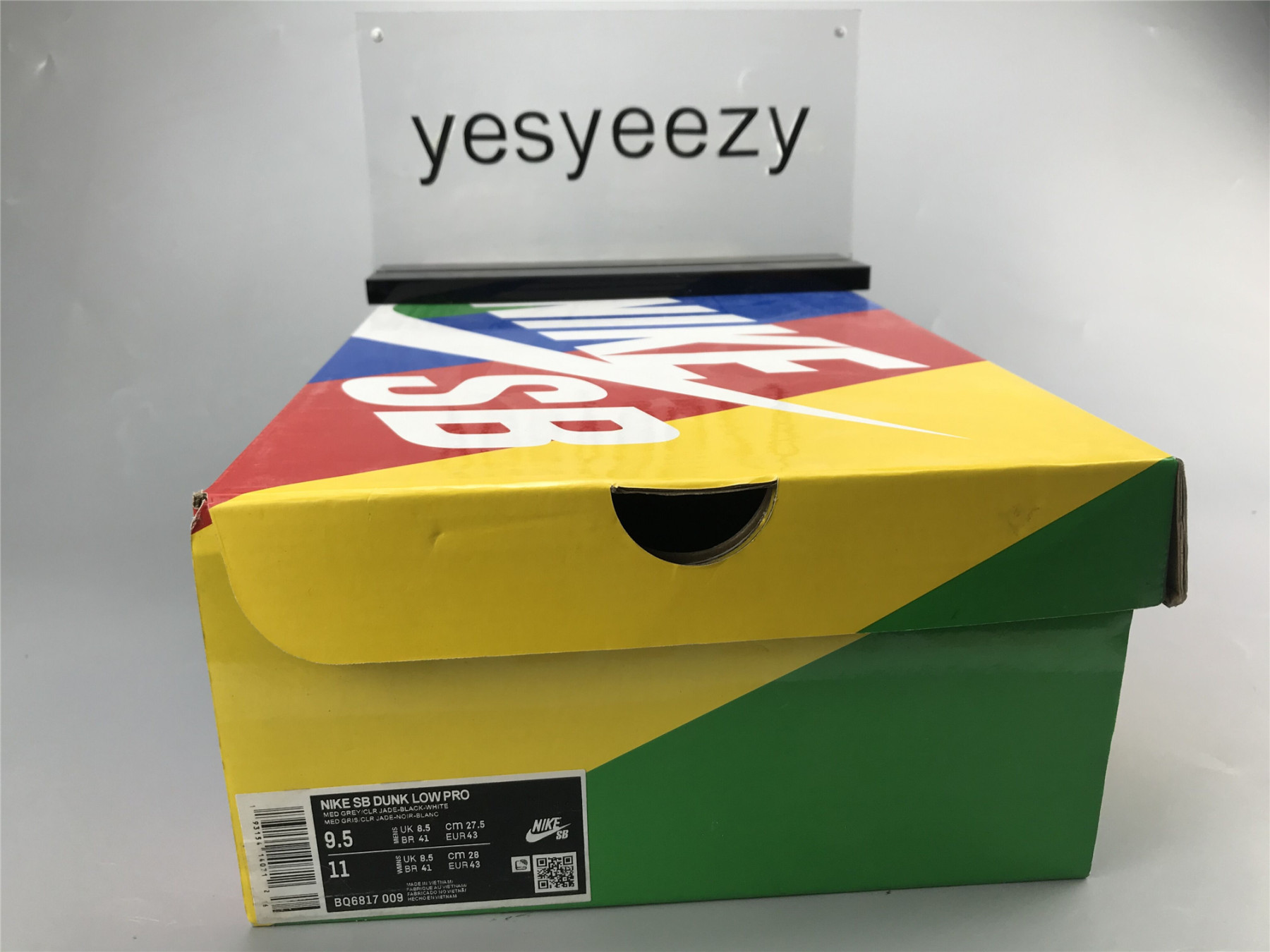 UA NIKE DUNK LOW PRO SB 