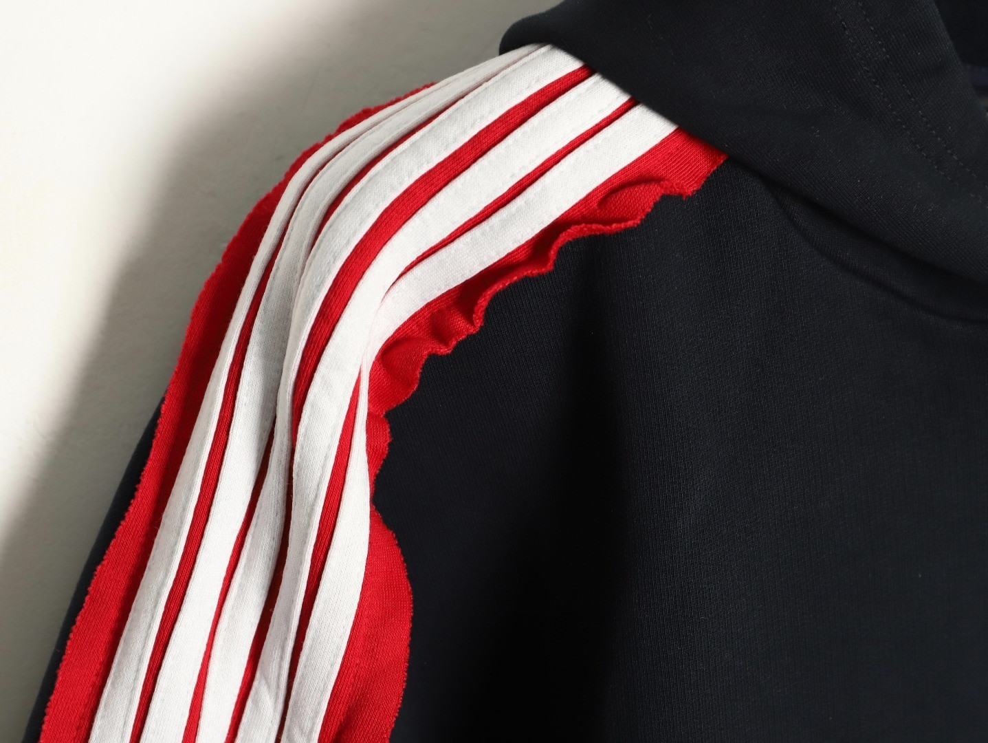 Ba1en*iaga 25FW Hoodies