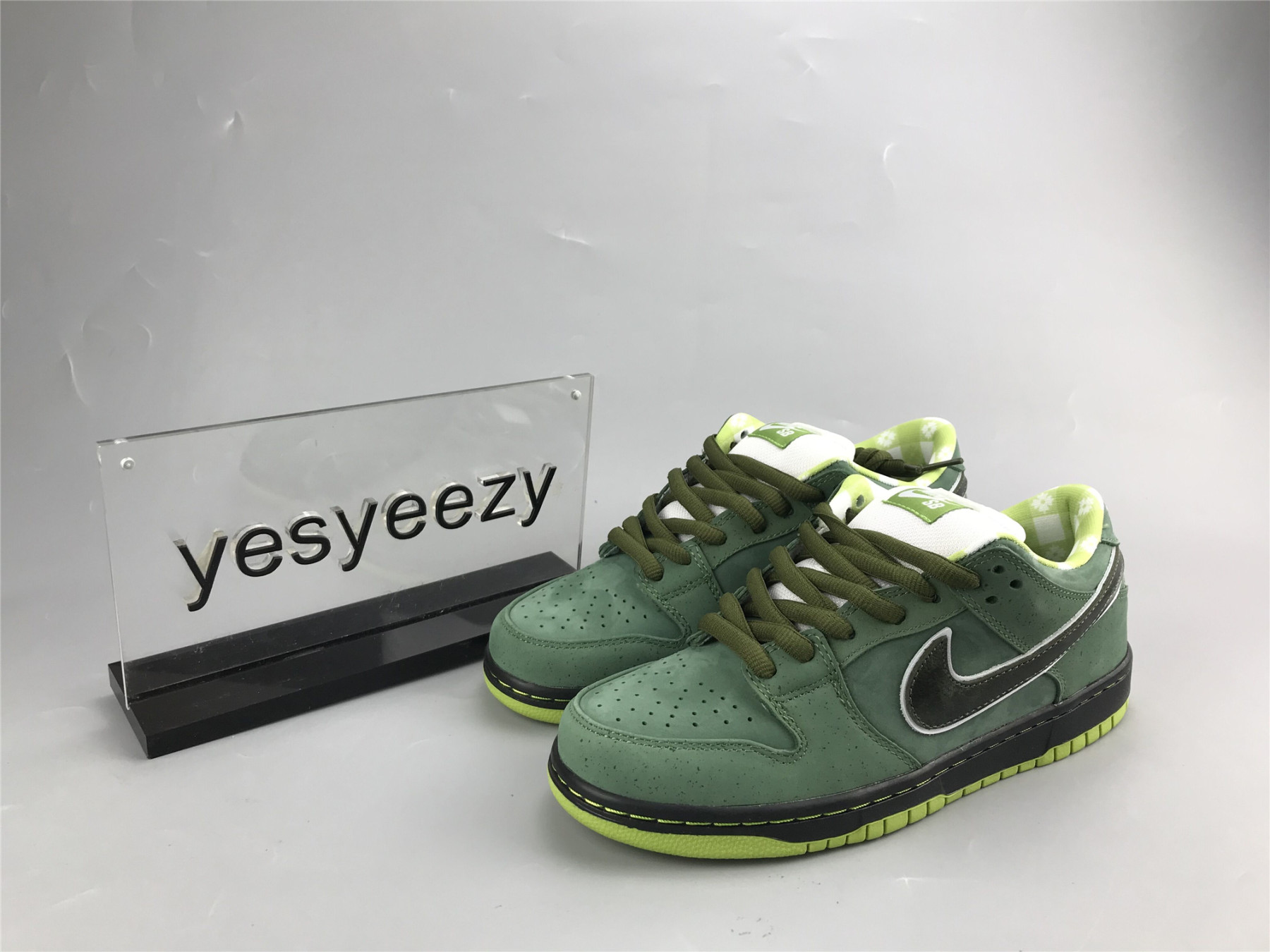 UA NIKE CONCEPTS X DUNK LOW SB 