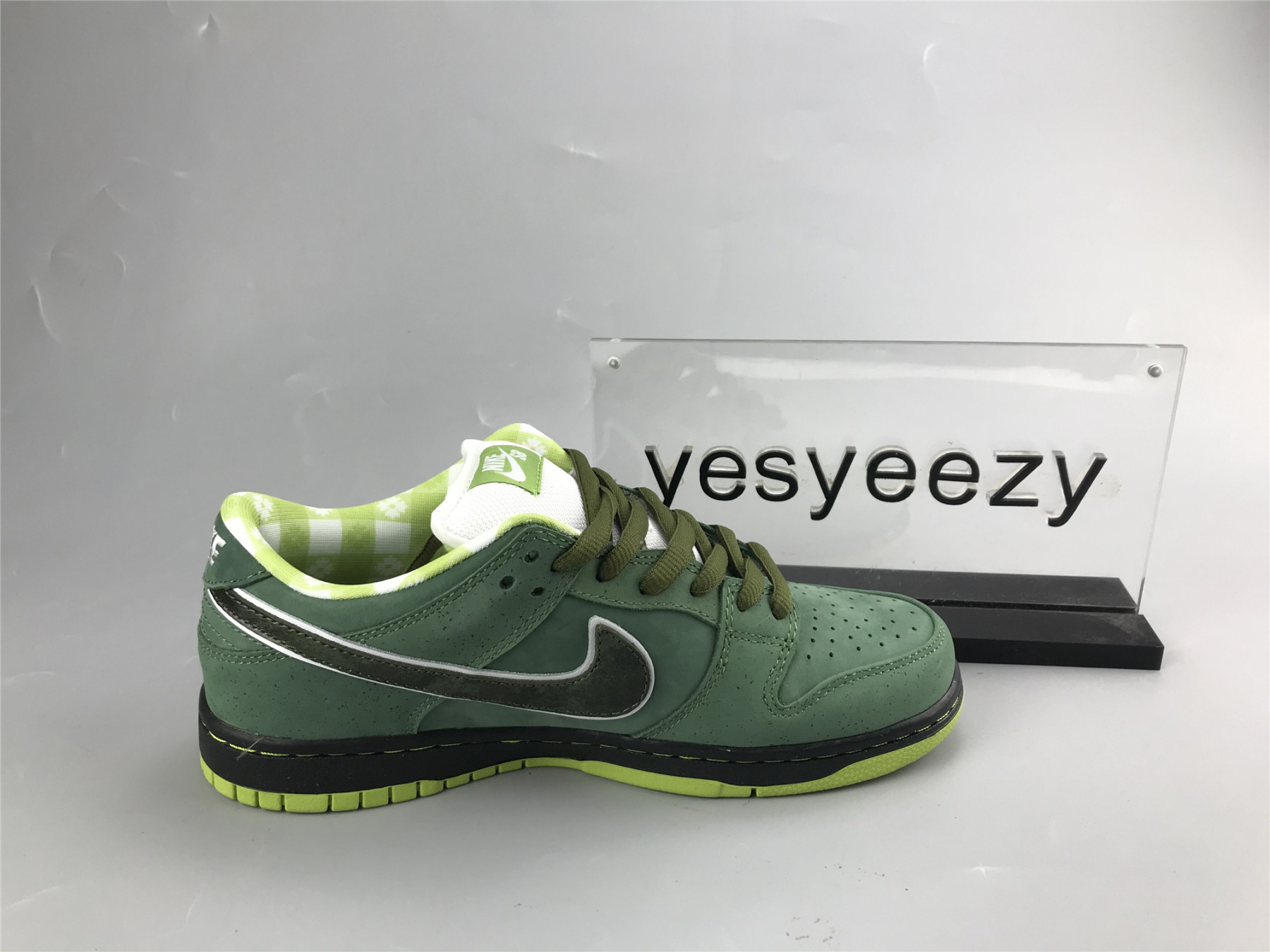 UA NIKE CONCEPTS X DUNK LOW SB 