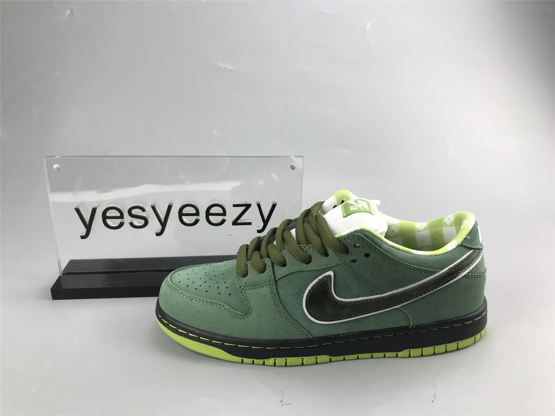 UA NIKE CONCEPTS X DUNK LOW SB 