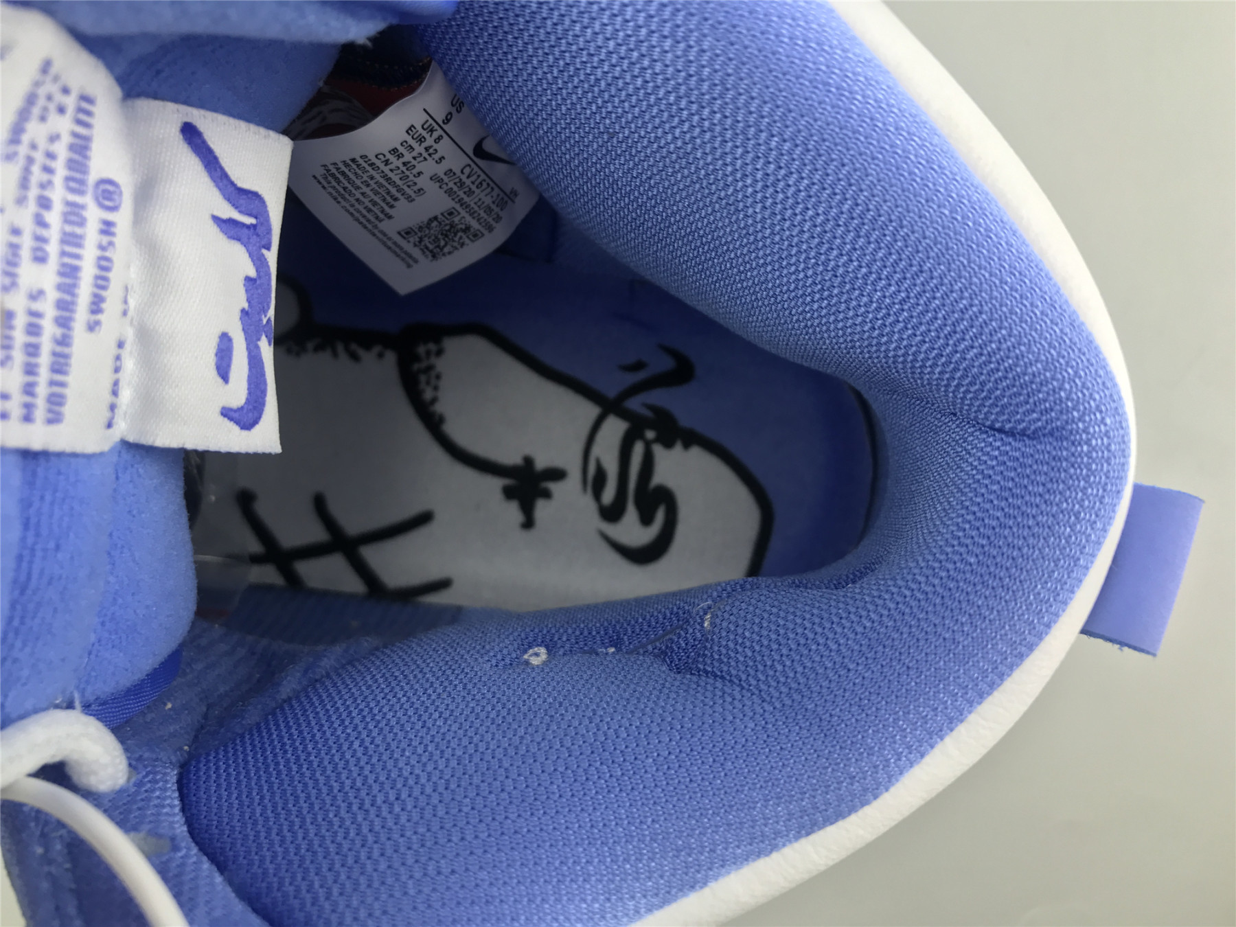 UA NIKE CARPET COMPANY X DUNK HIGH SB