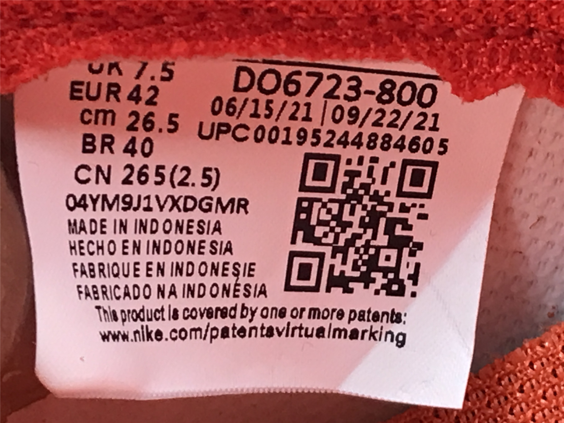 UA NIKE WMNS DUNK LOW 