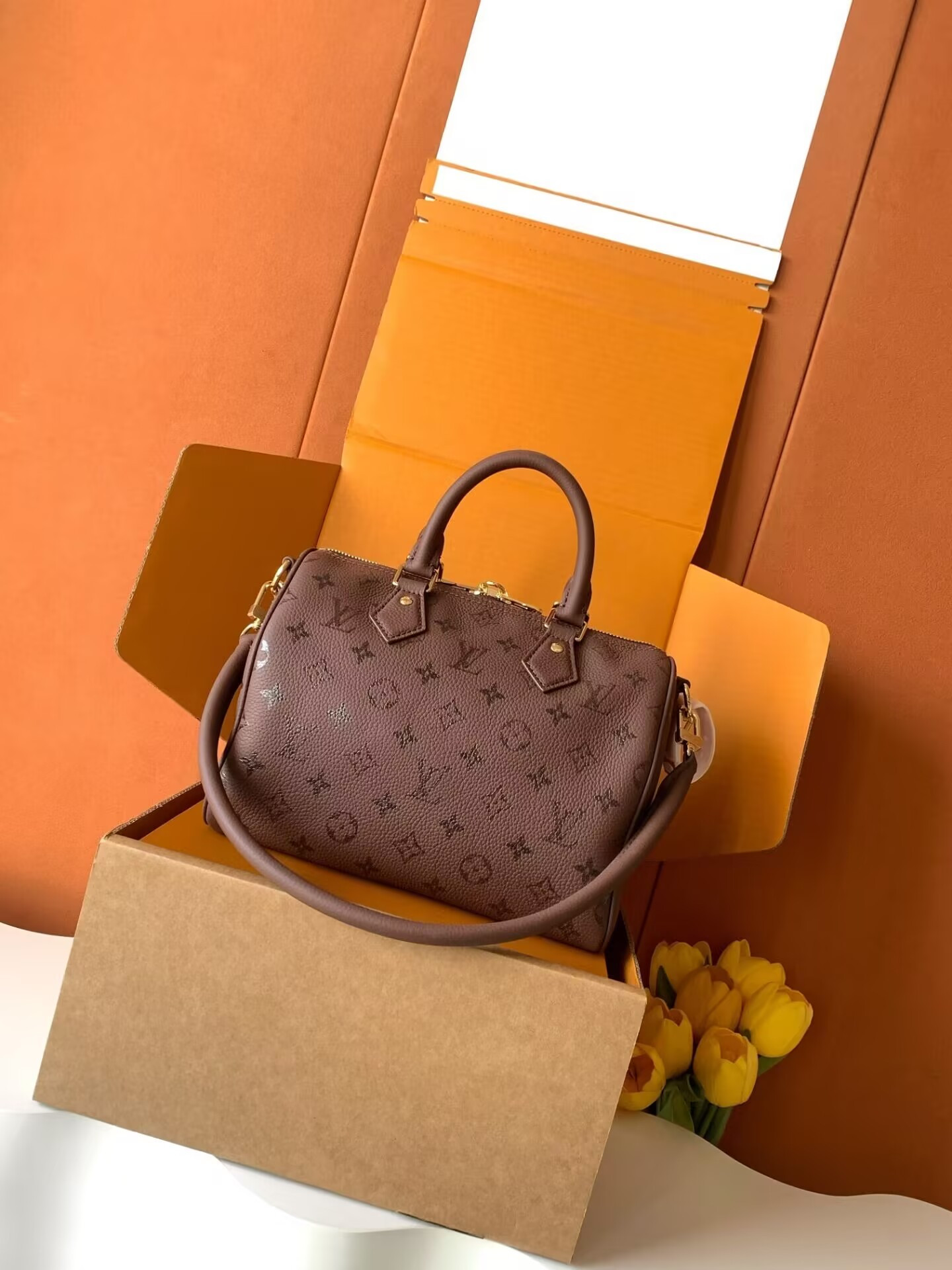 LV SPEEDY BANDOULIÈRE 25 M26691 18x13x25cm