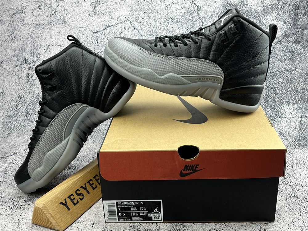 UA AIR JORDAN 12 RETRO 