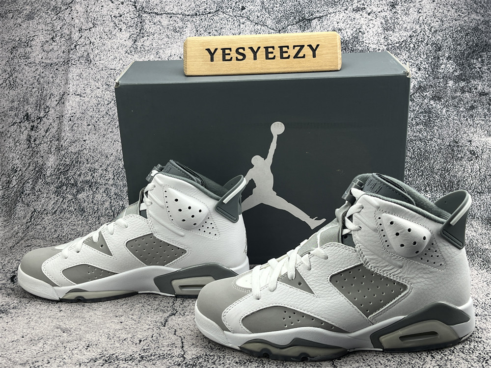 UA AIR JORDAN 6 RETRO 