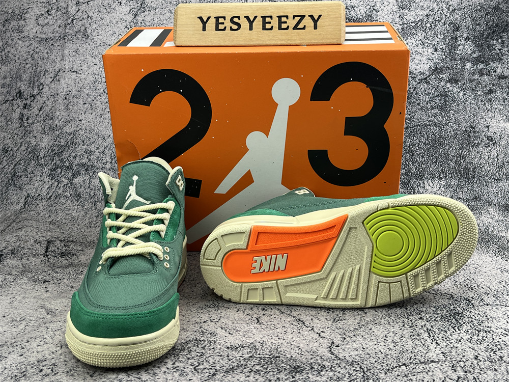 UA NINA Ch**el ABNEY X AIR JORDAN 3