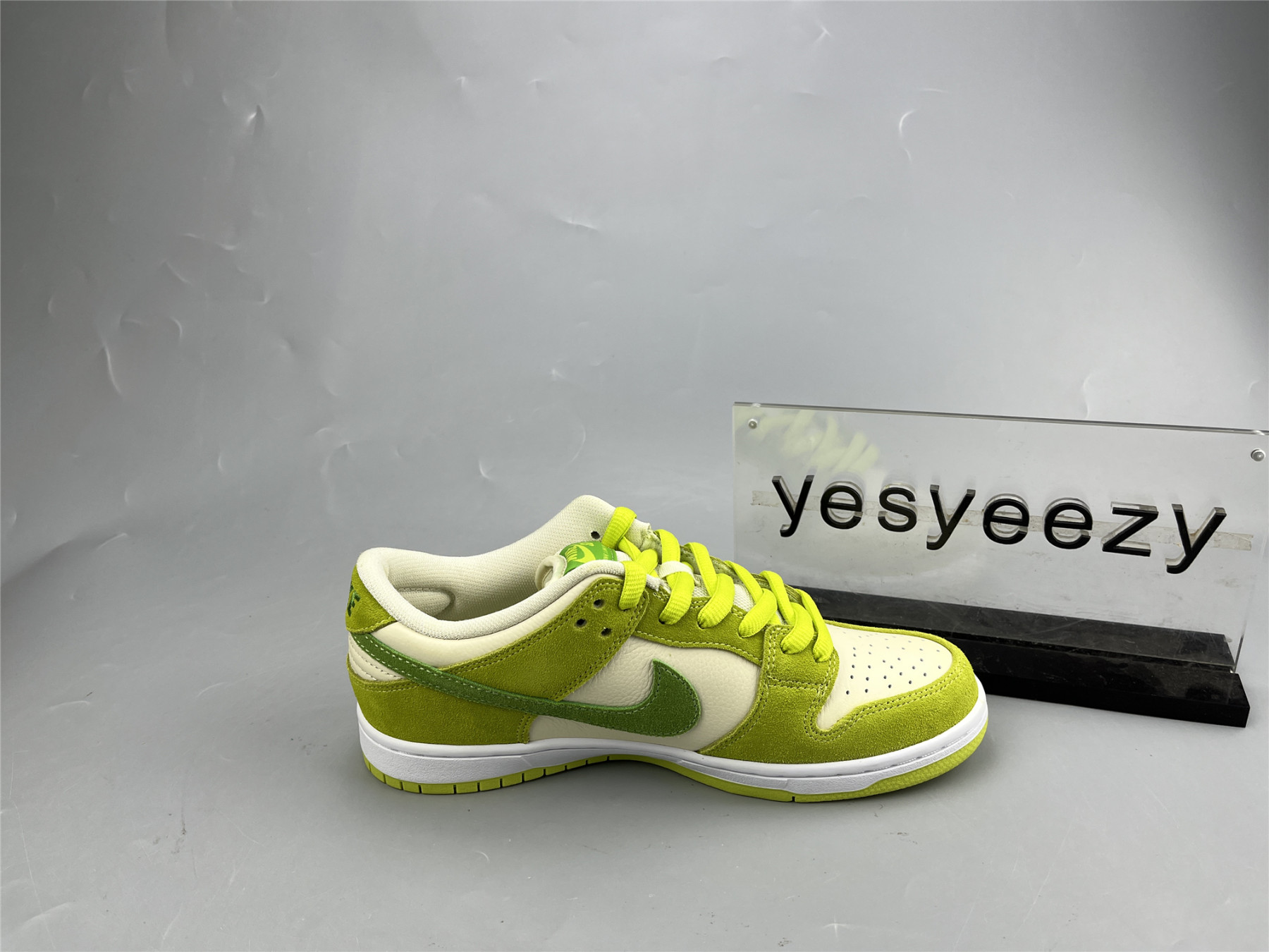 UA NIKE DUNK LOW PRO SB 