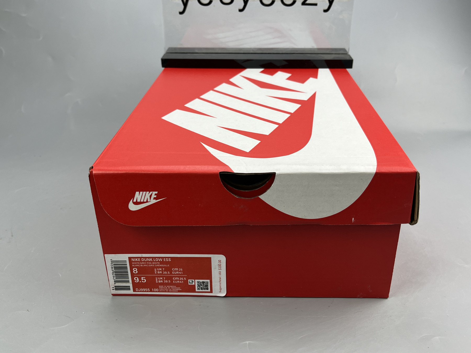 UA NIKE WMNS DUNK LOW 