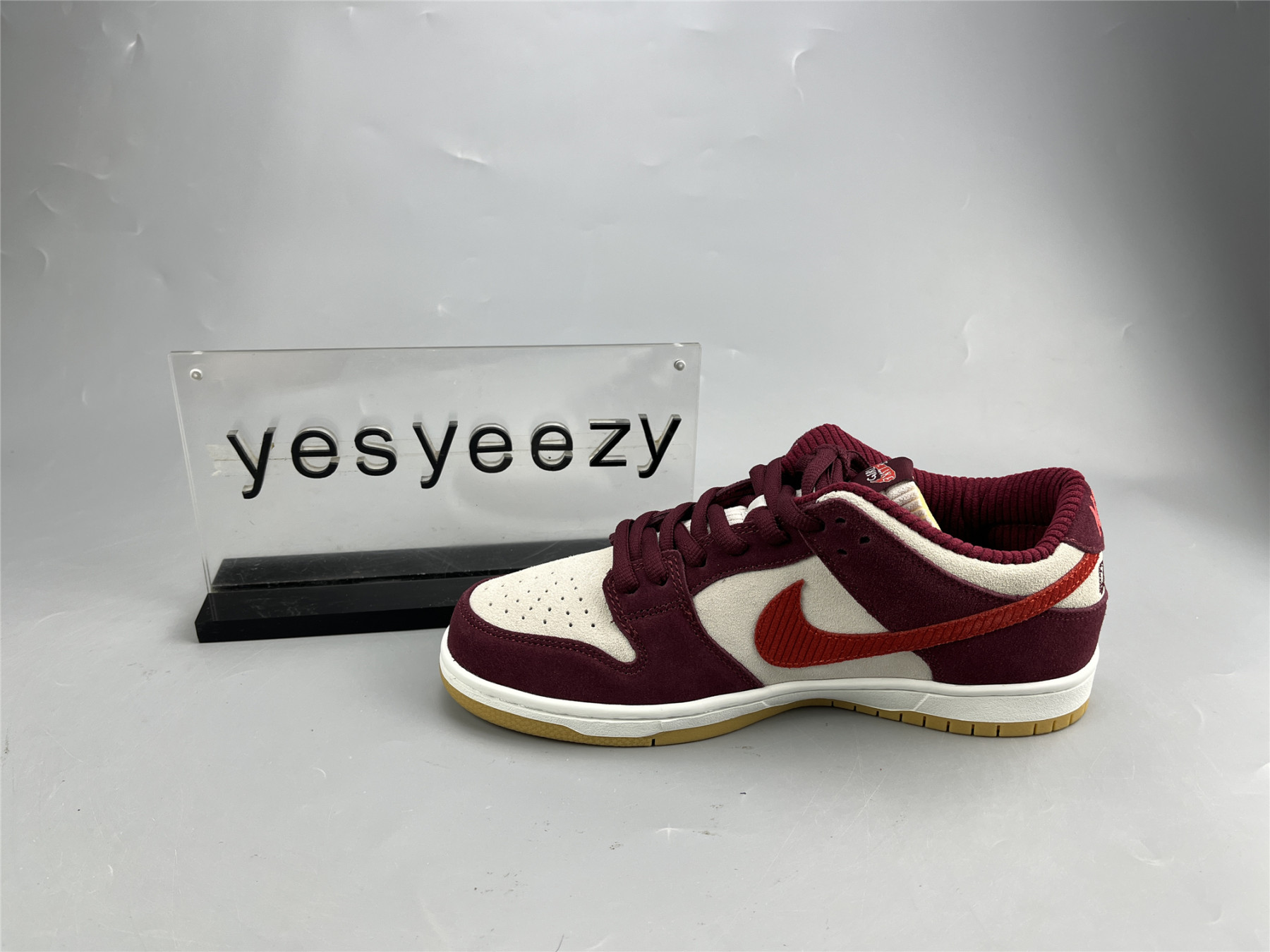 UA NIKE SKATE LIKE A GIRL X DUNK LOW SB