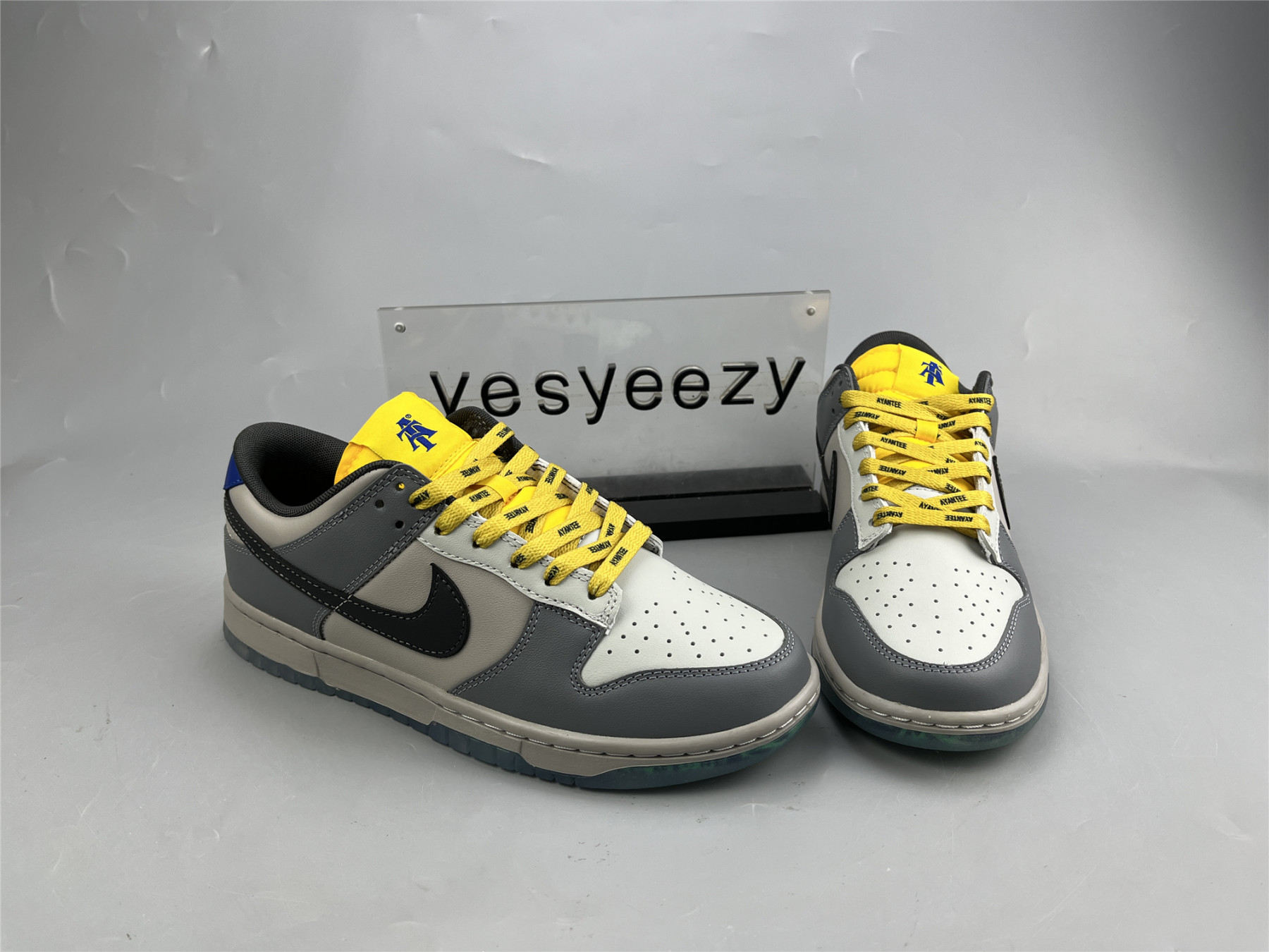 ua nike N0r*h carolina a&t state x dunk low 