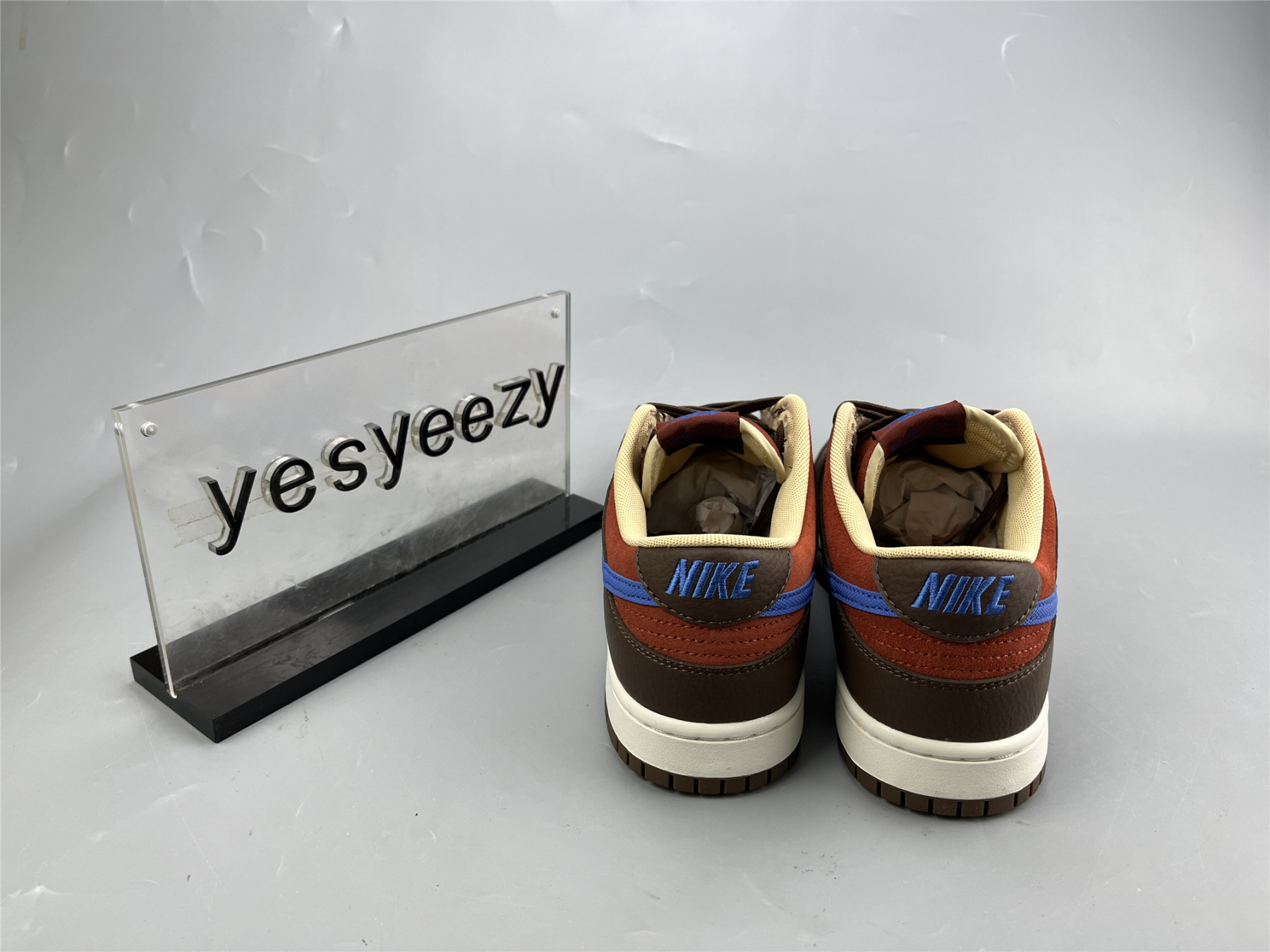 UA NIKE DUNK LOW PREMIUM 