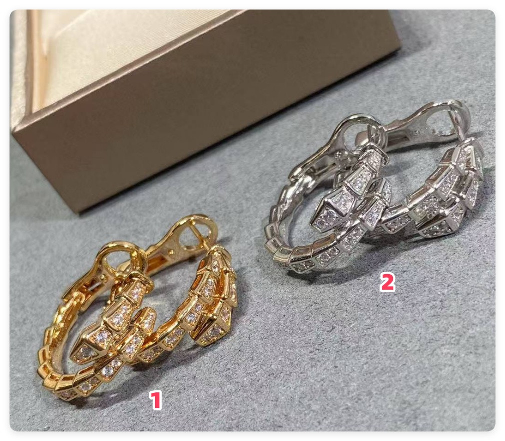 Bv1g*ai Full-D1am0nd snake Earrings