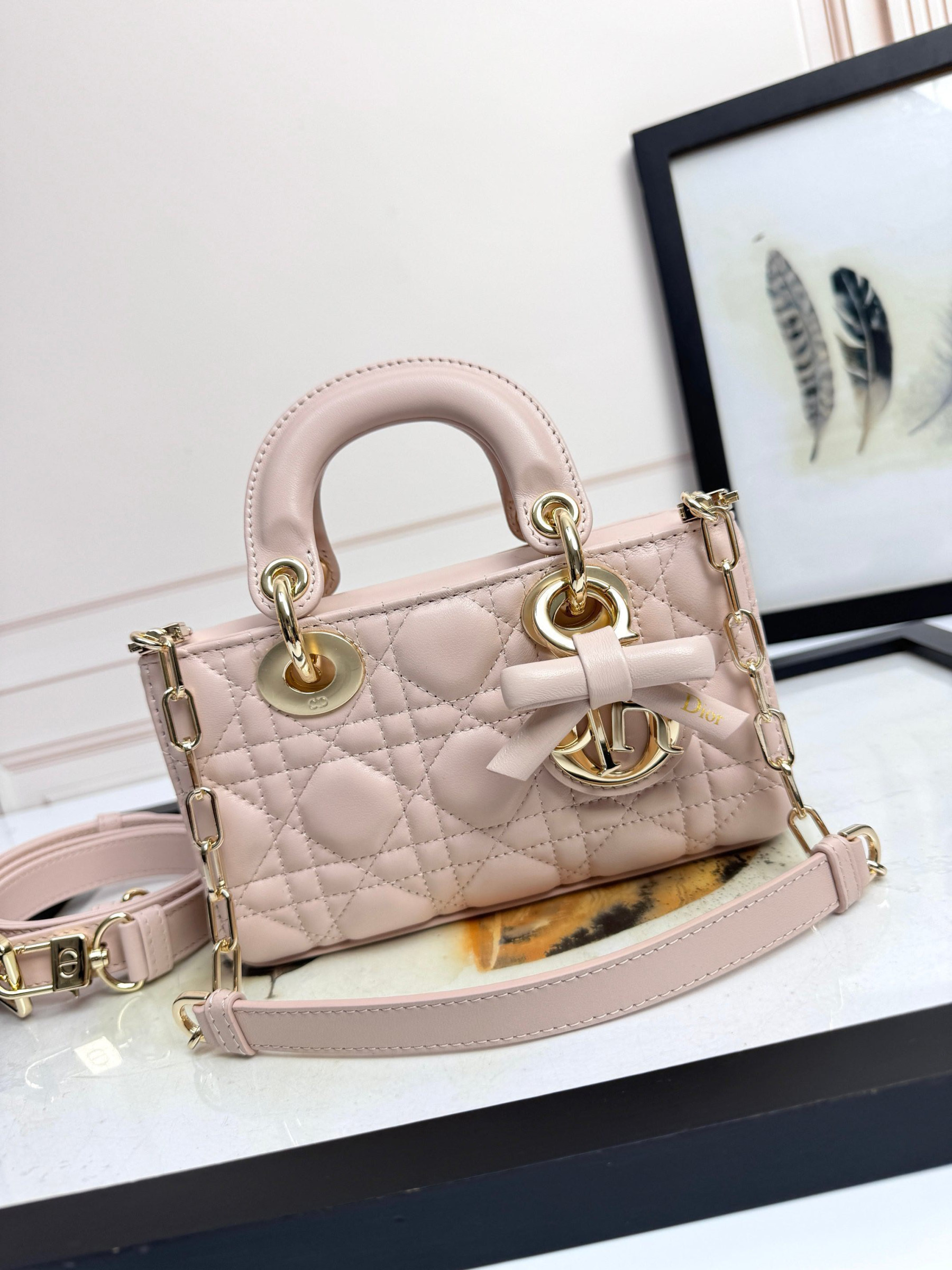 D10r mini lady d-joy bag 19x10.5x5.5cm