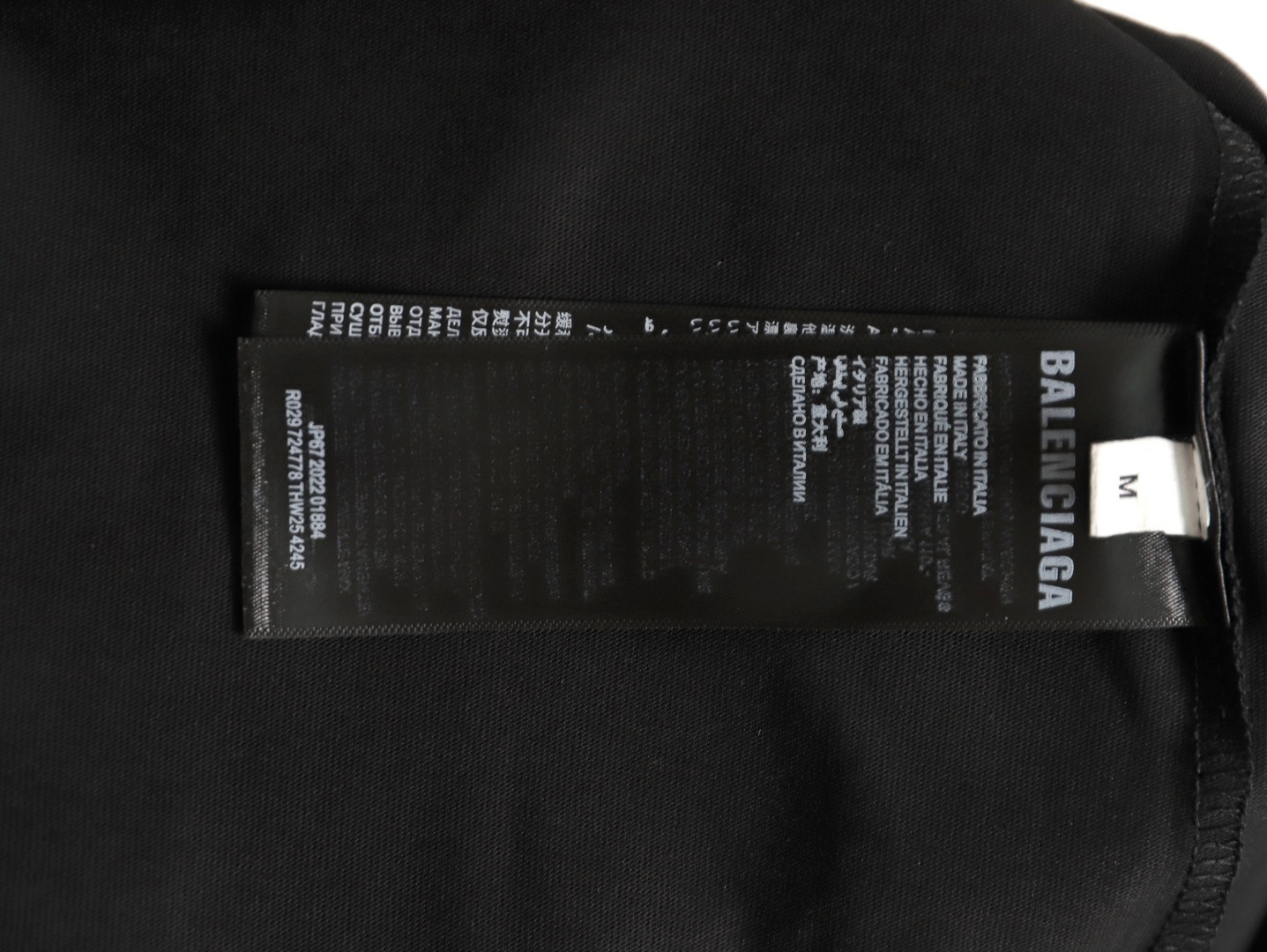 Ba1en*iaga Long-sleeved T-shirt