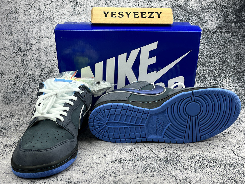 UA NIKE DUNK LOW PREMIUM SB 