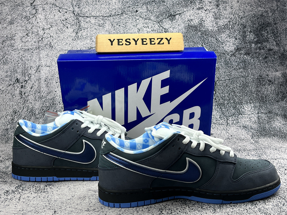 UA NIKE DUNK LOW PREMIUM SB 