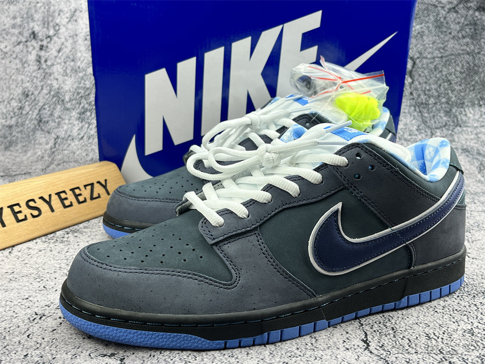 UA NIKE DUNK LOW PREMIUM SB 