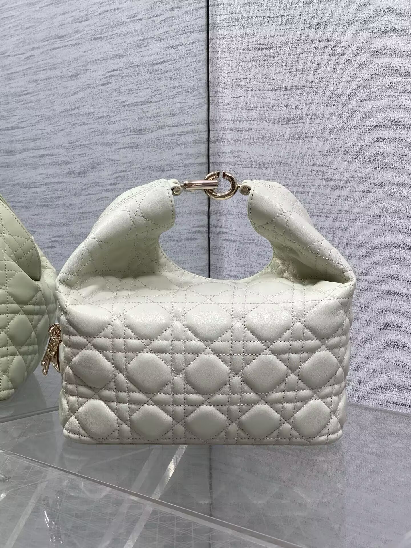 D10r Small Toujours Hobo Handbag 22.5 x 14 x 7.5 cm
