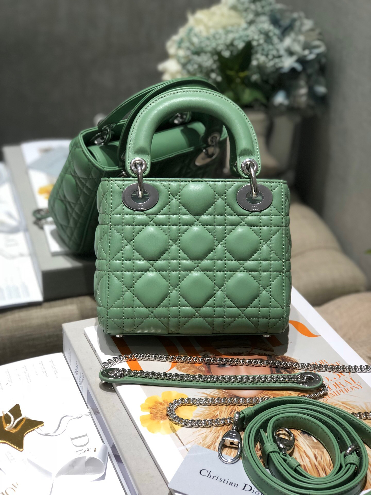 Mini Lady D10r Bag 6.5 x 6 x 3 inches