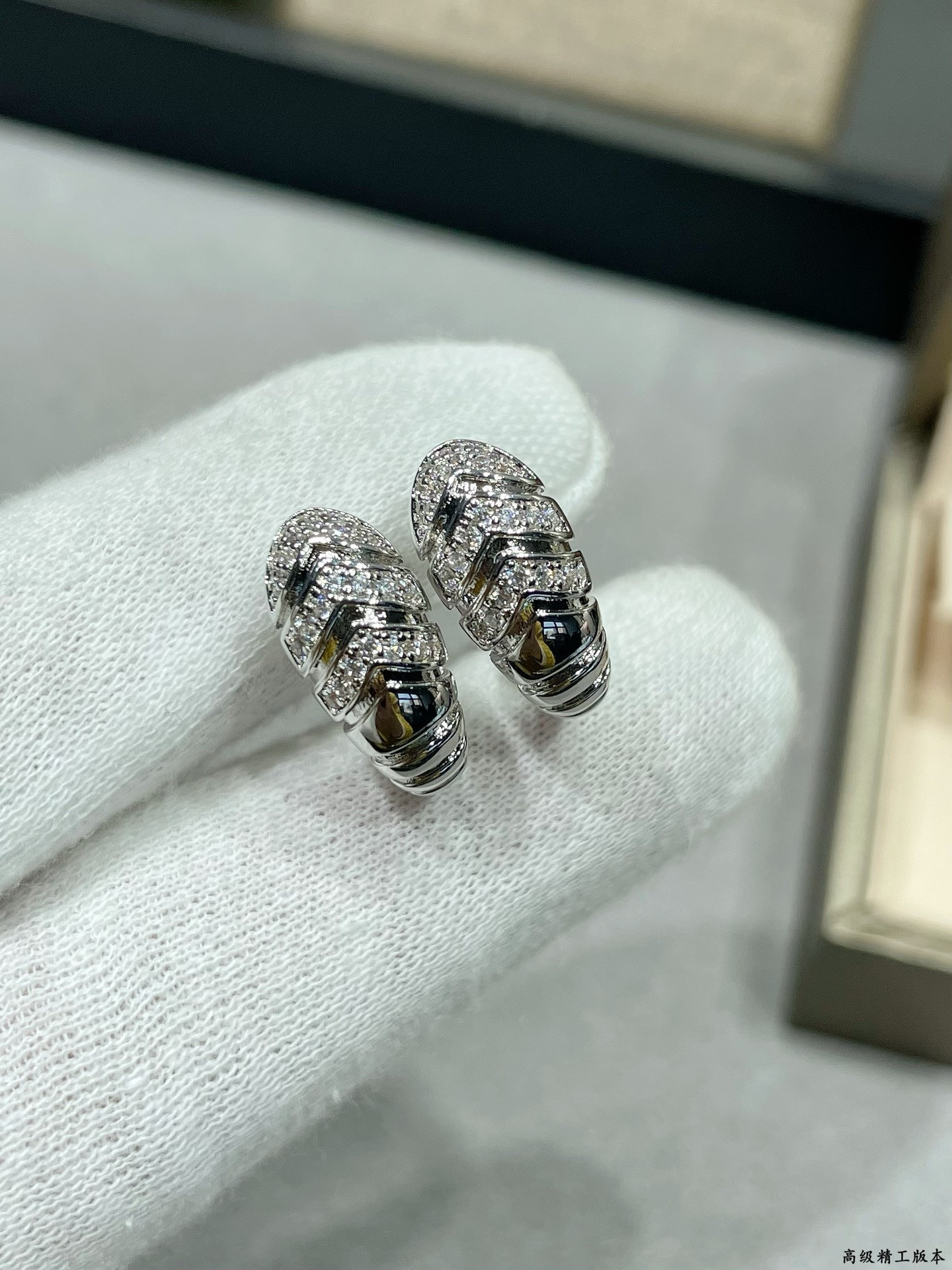 Bv1g*ai Earrings