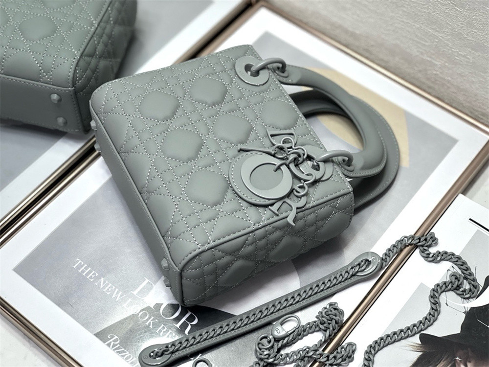 Mini Lady D10r Bag 6.5 x 6 x 3 inches