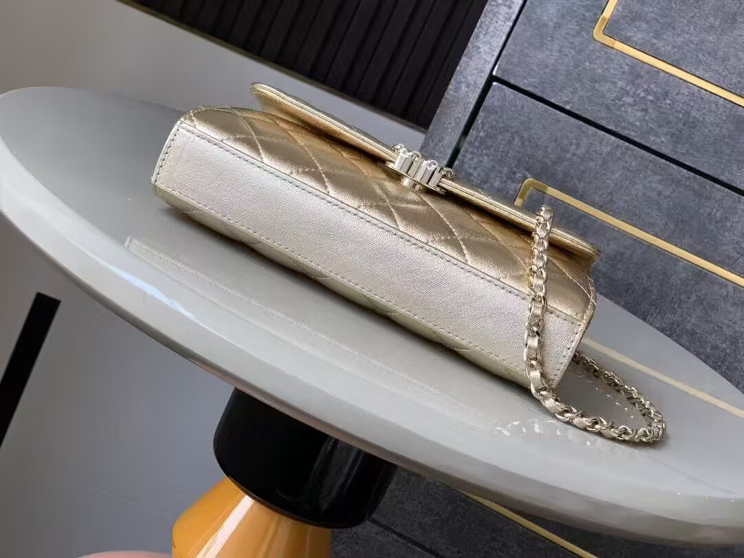 Ch**el Kelly 23P 19x10x4.5cm