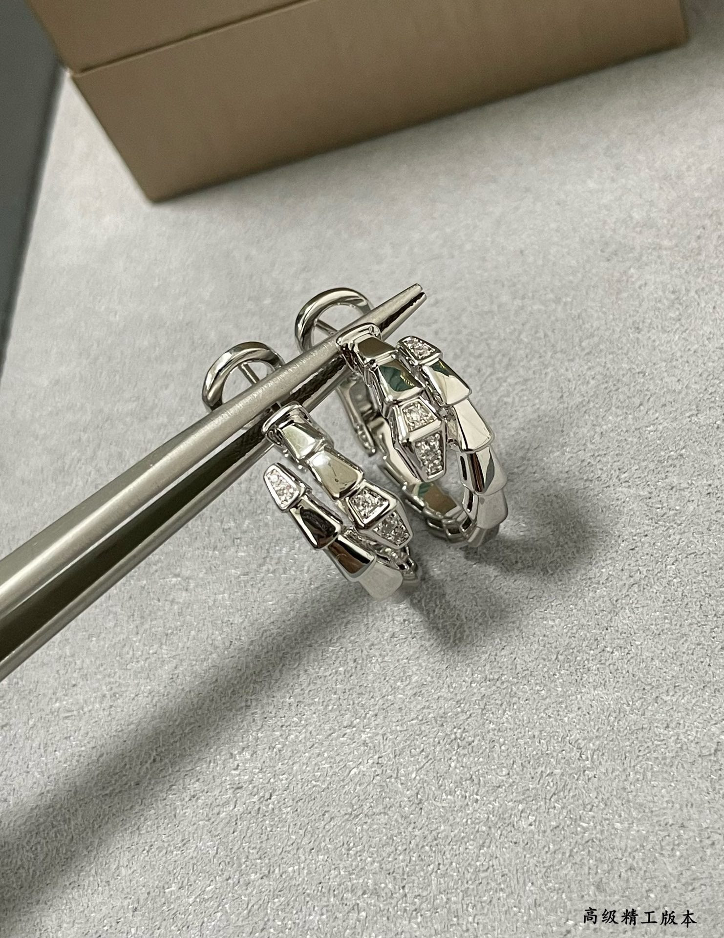 Bv1g*ai Head and tail drill snake Earrings