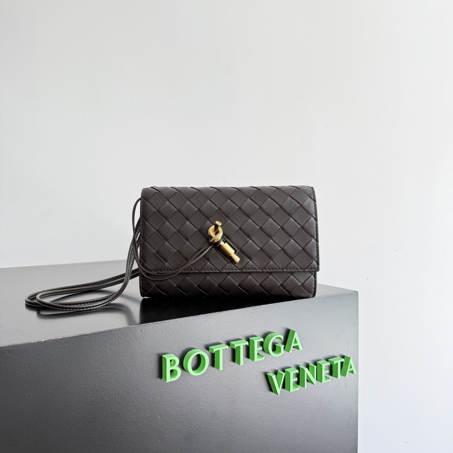 Bottega Veneta Andiamo Pouch on Strap 19x12.6x2cm