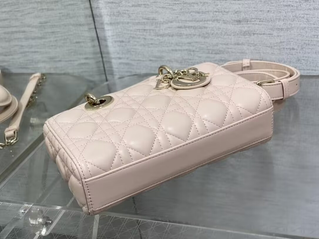 D10r small lady d-joy bag 22x6x12cm