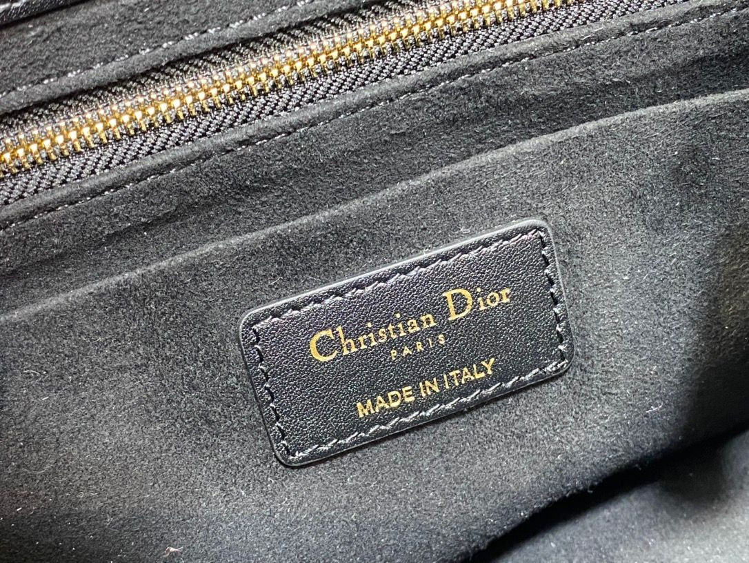 D10r Lady Handbag 24x18x10cm