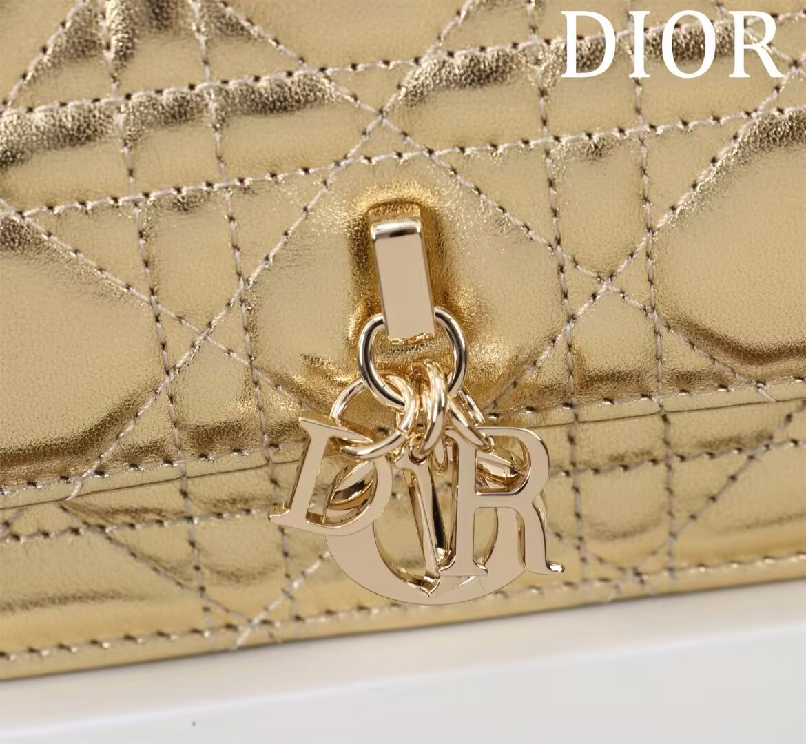 My D10r Mini Bag 21 x 11.5 x 4.5 cm