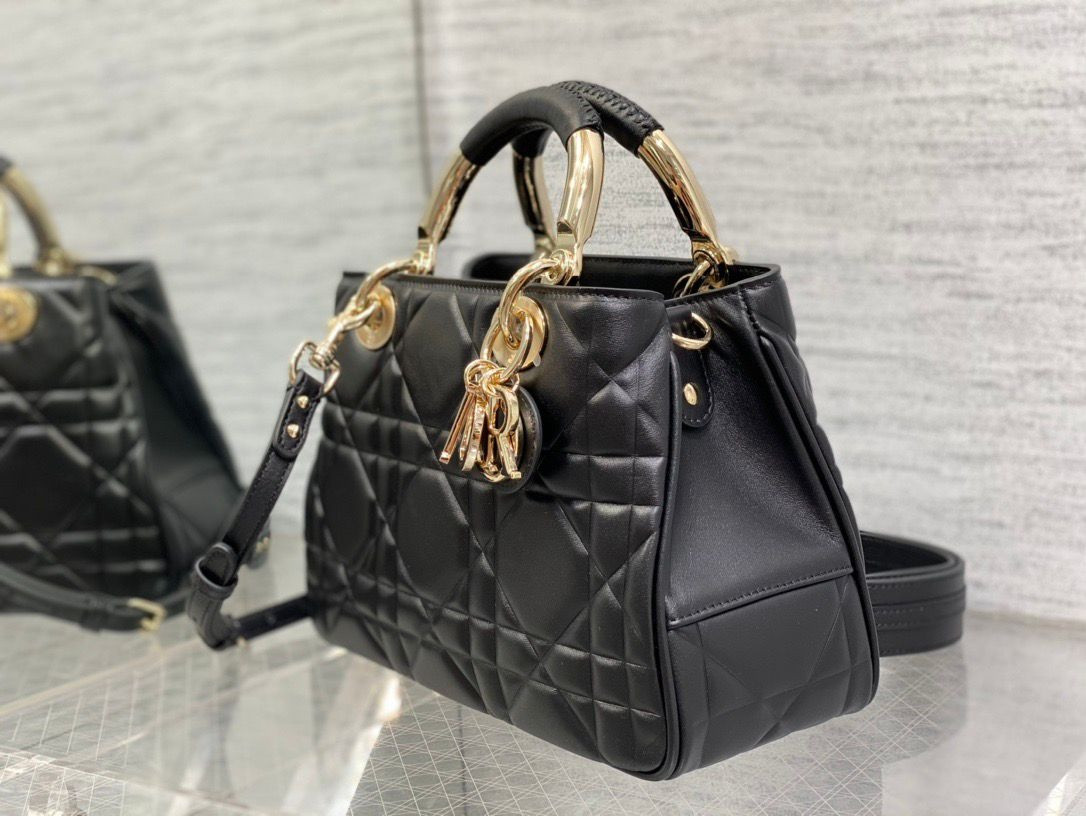 D10r Lady Handbag 24x18x10cm