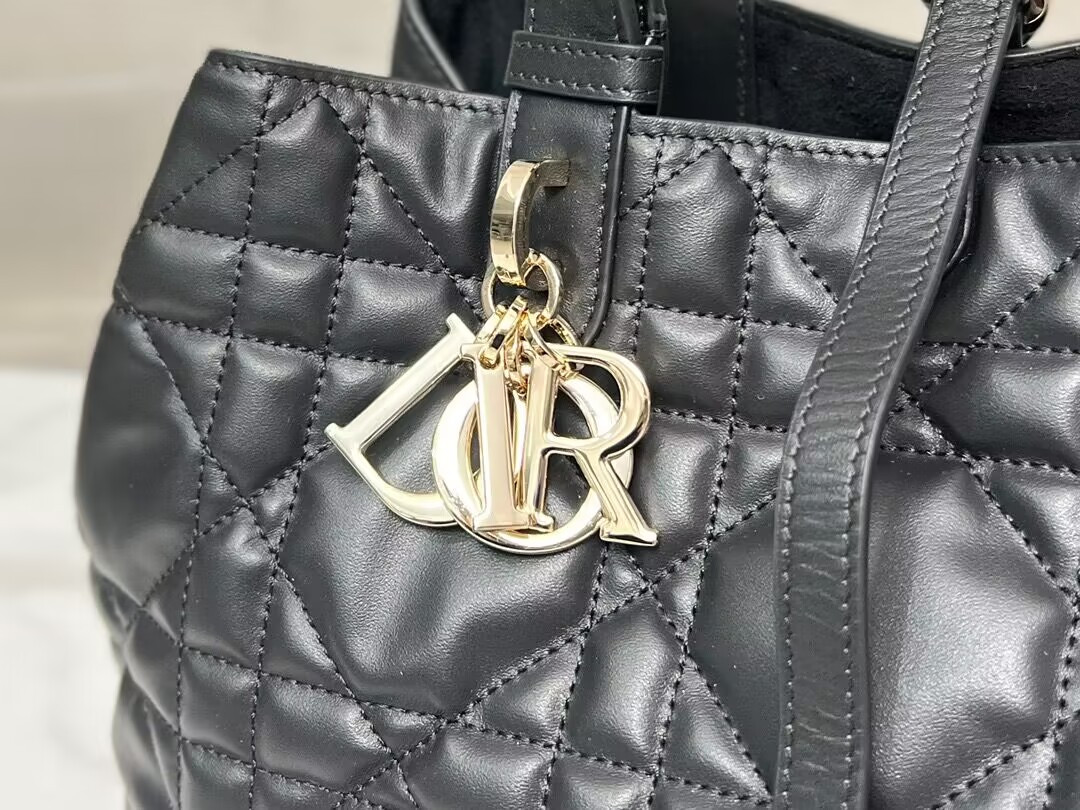 D10r Toujours Bag Medium Black 11 x 8.5 x 6.5 inches