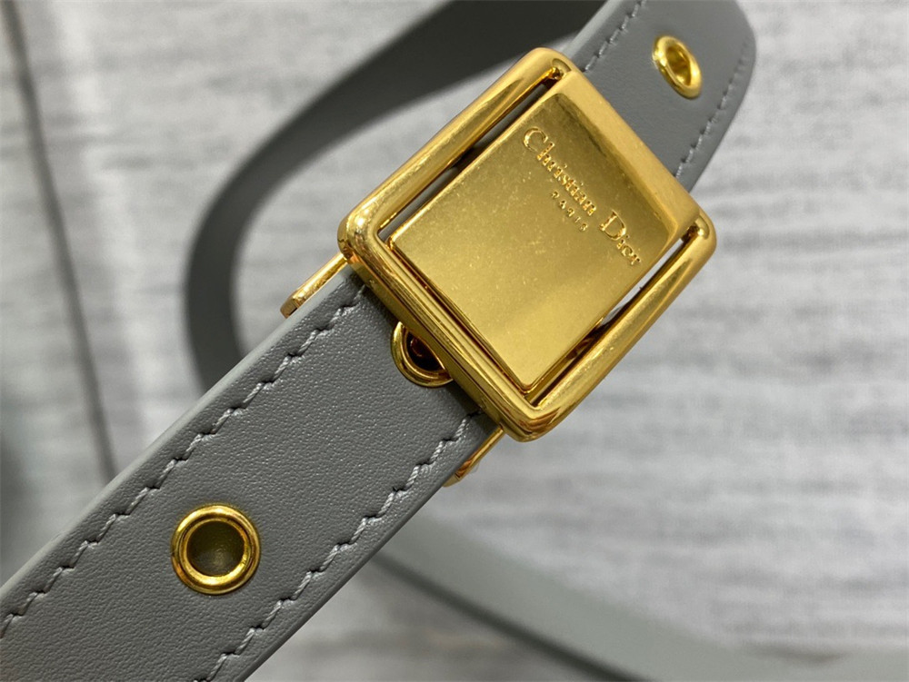 MEDIUM D10r BOBBY BAG Grey Box Calfskin