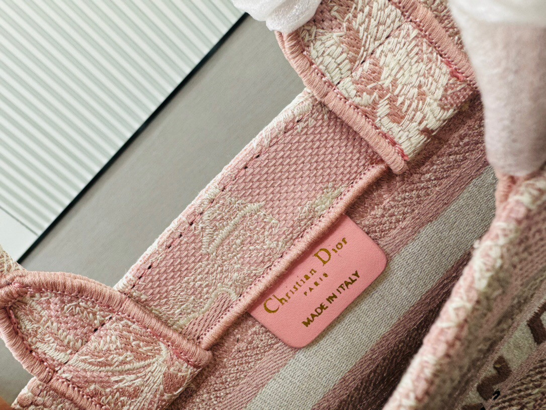 D10r book tote 24SS  21.5×13×7.5cm