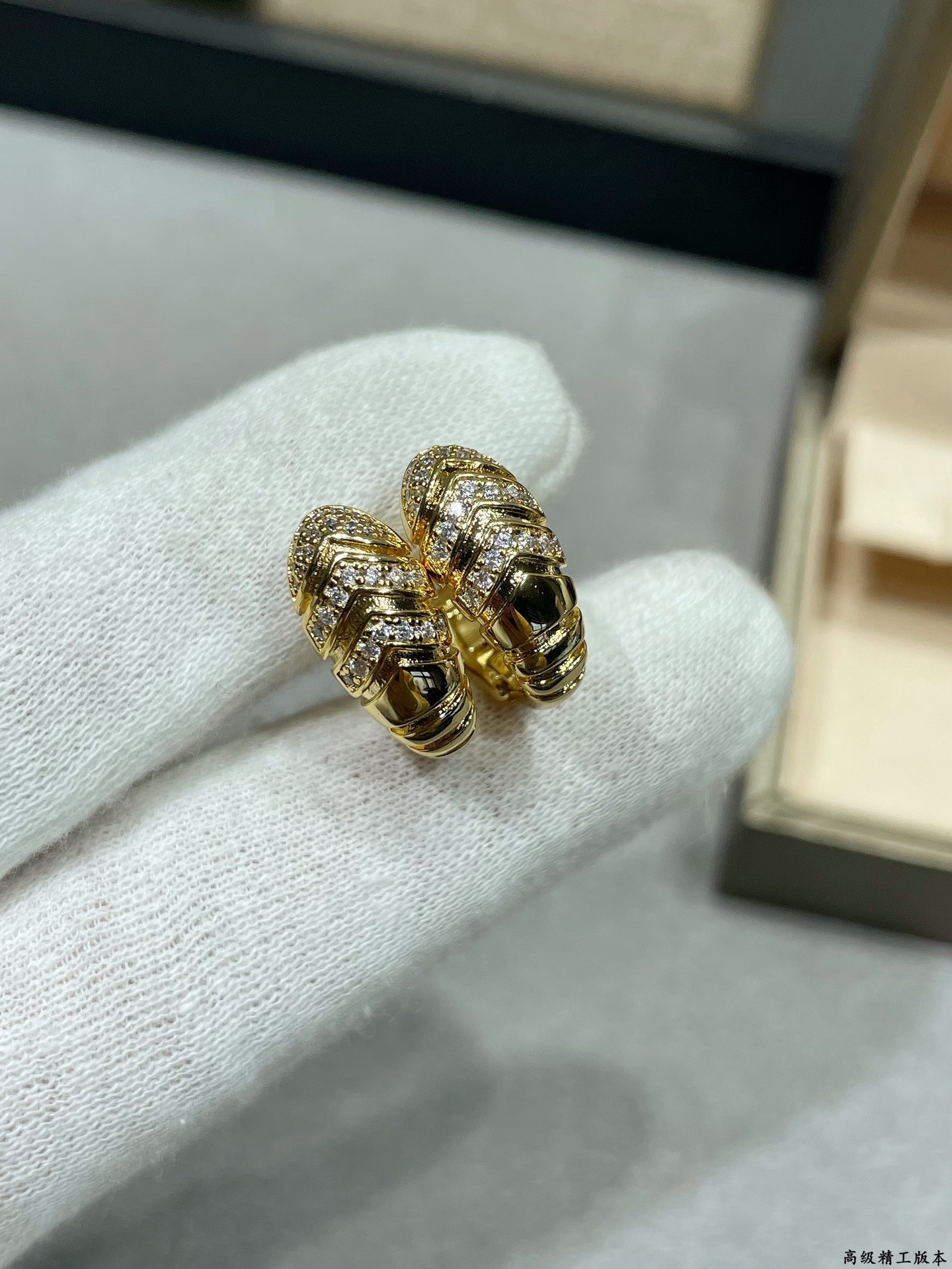 Bv1g*ai Earrings