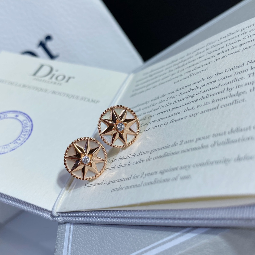 D10r compass Stud Earrings