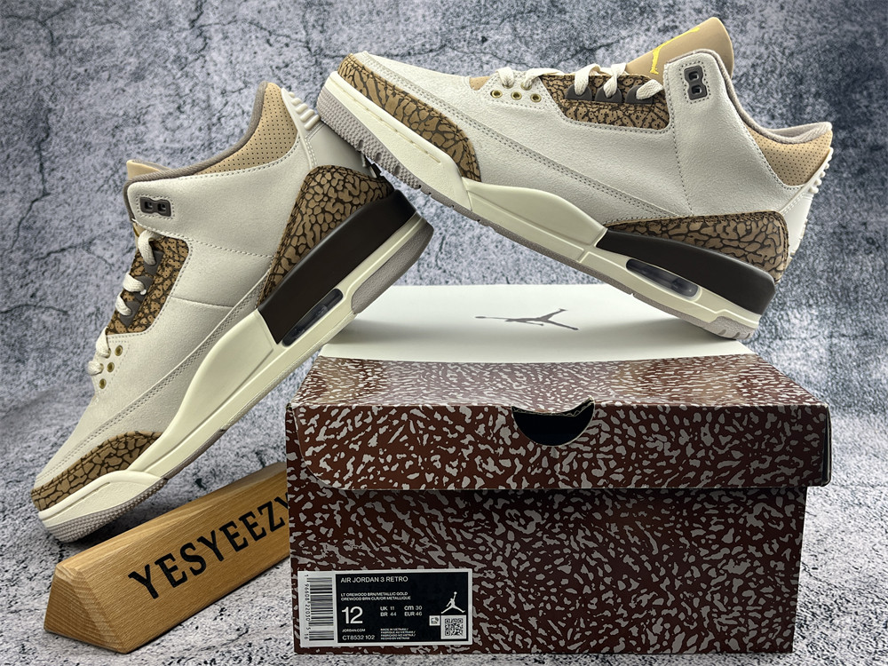 UA AIR JORDAN 3 RETRO 