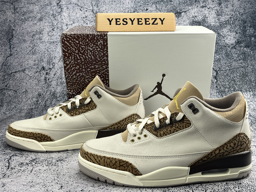 UA AIR JORDAN 3 RETRO 