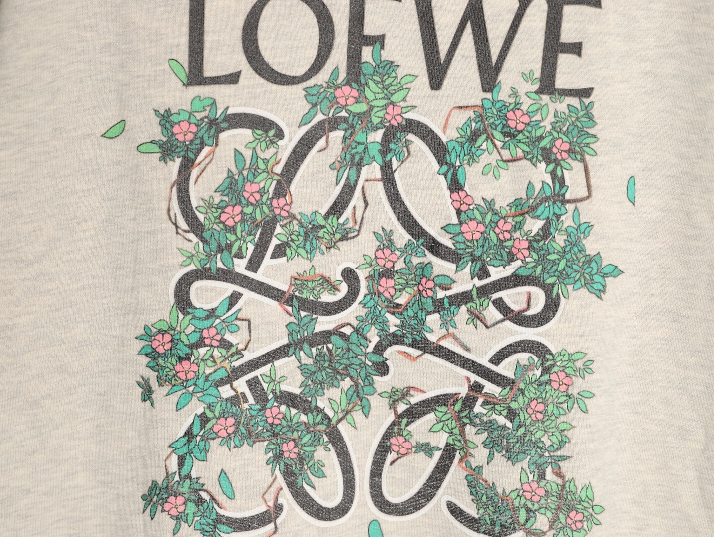 L0ew* 25FW Plush Hoodies