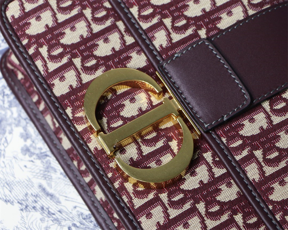 D10r 30 MONTAIGNE CHAIN BAG ROSERED 24x18x8 cm